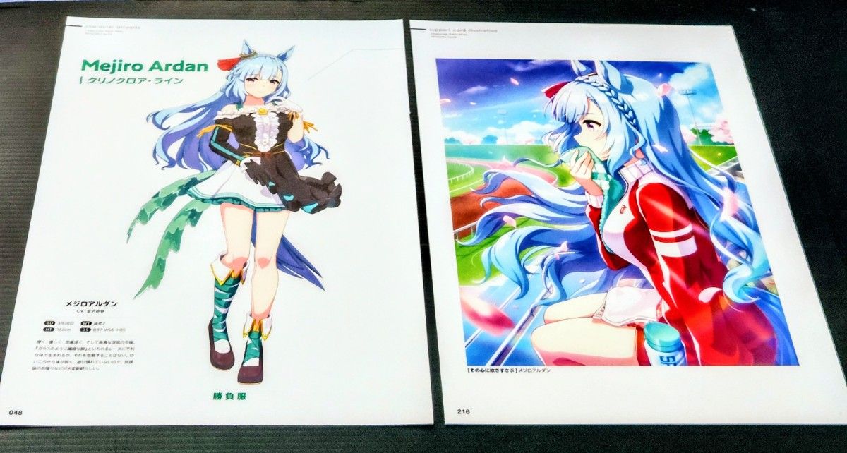 【210】赛马娘 ・目白阿尔丹・ A4 海报×2张 &相框1个附赠套装(决胜服&插画))