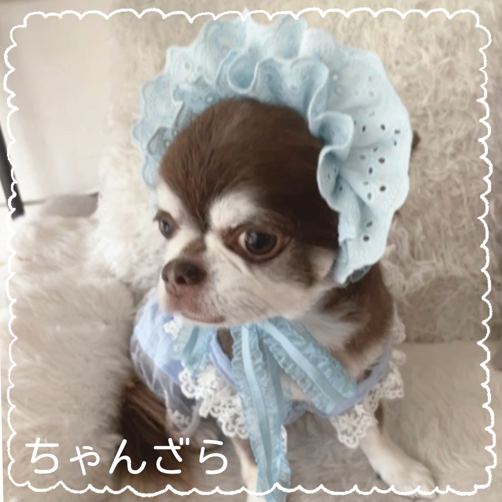 new🍀小型婴儿头饰（黑色）)