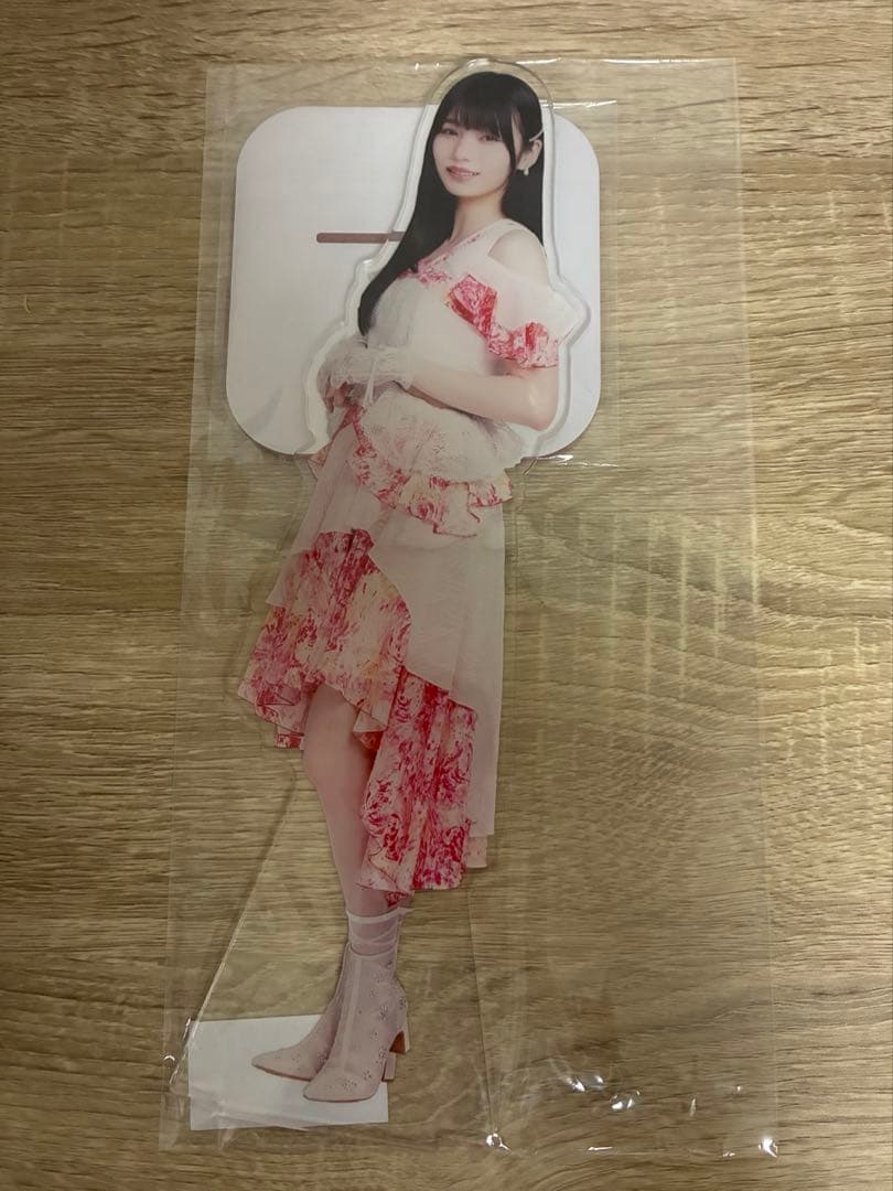 Nogizaka46 Hina Okamoto Individual Random BIG Acrylic Stand 2025 Random Lucky Bag