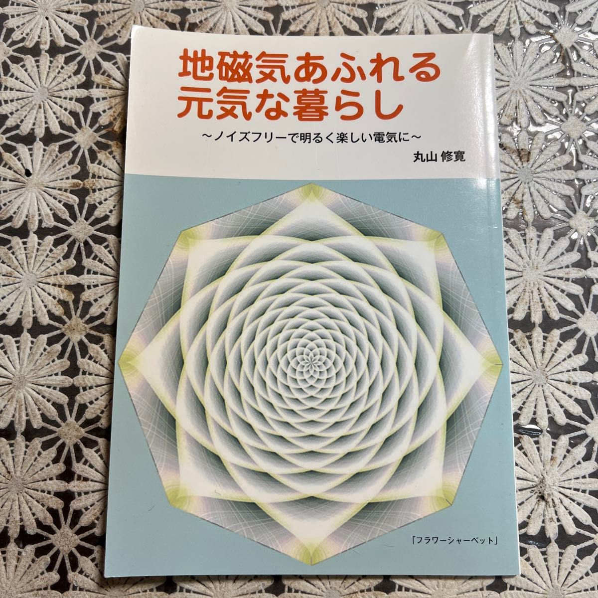 充满地磁能量的健康生活 丸山修宽 花之雪芭