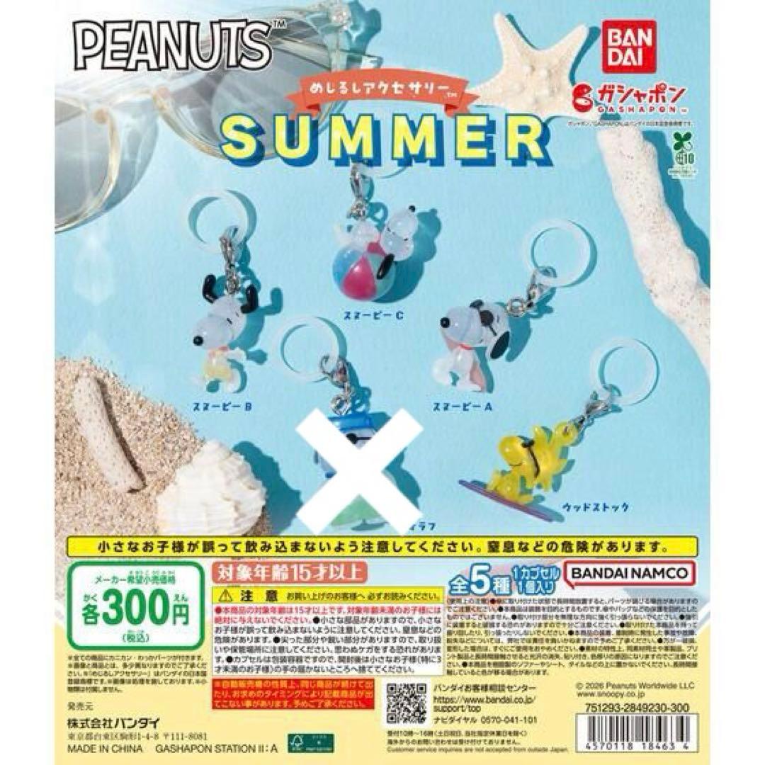Snoopy Mejiro Accessories SUMMER Set of 4