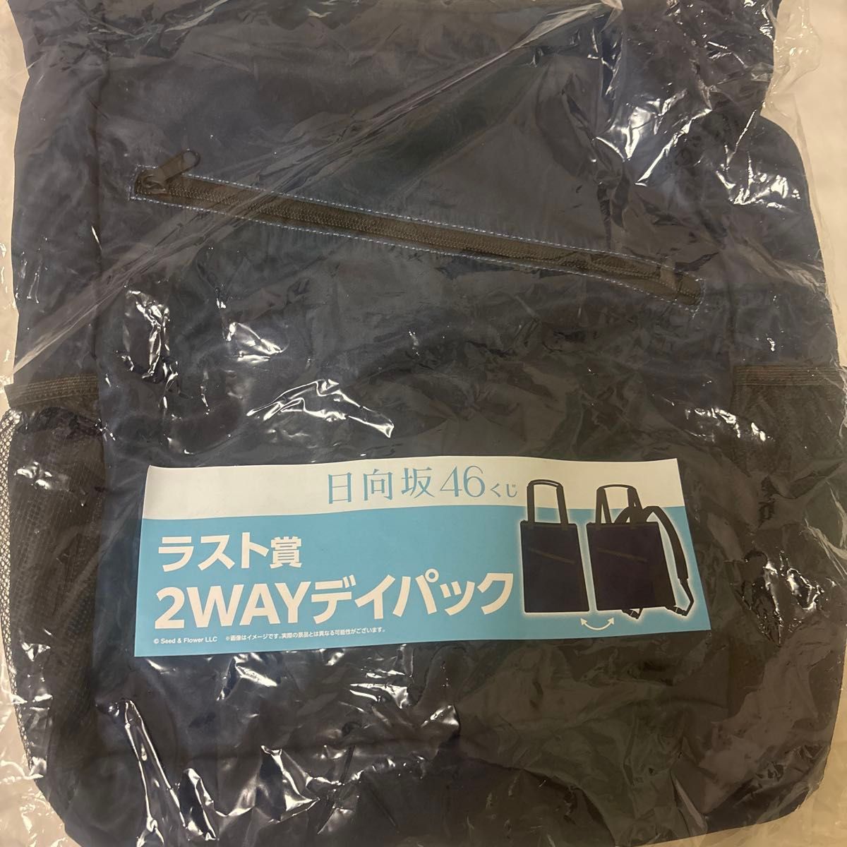 Hinatazaka46 Prize Draw-Final Prize: 2-Way Daypack, Backpack, Tote Bag