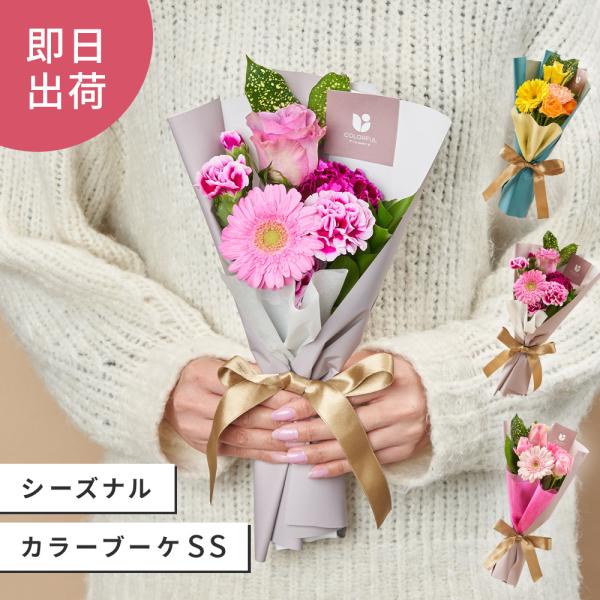 Flower Bouquet Floral Arrangement Gift Fresh Flower Arrangement Fresh Flower Birthday Seasonal Flowers Surprise Seasonal Colorful Bouquet SS Mini Bouquet