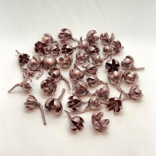 ドライフラワー 花材 即日出荷 バクリフラワー プラチナピンク 花材 素材 材料 パーツ バクリ バクリの実 プラチナ ピンク ドライフラワー 木の実 卸 東花