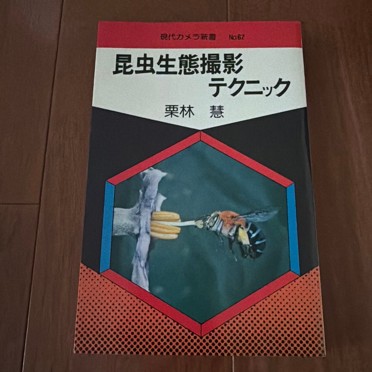 昆虫生态摄影技巧 栗林慧 现代相机新书62 朝日Sonorama