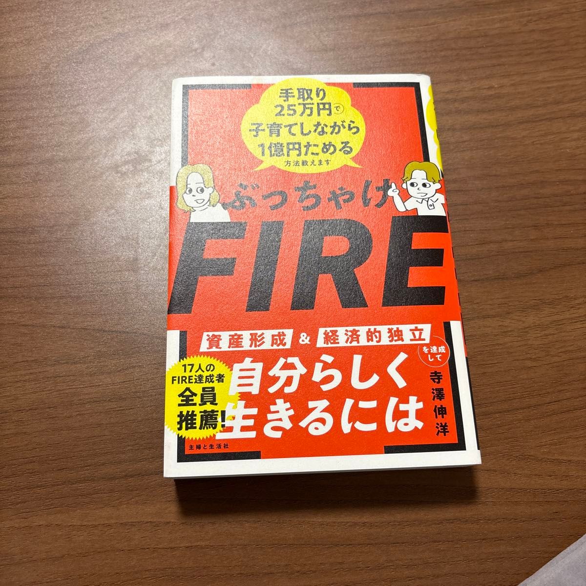 ぶっちゃけＦＩＲＥ　手取り２５万円で子育てしながら１億円ためる方法教えます 寺澤伸洋／著