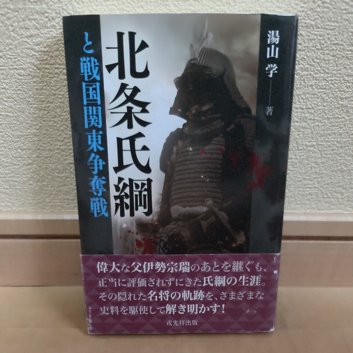 北条氏纲与战国关东争夺战汤山学/着
