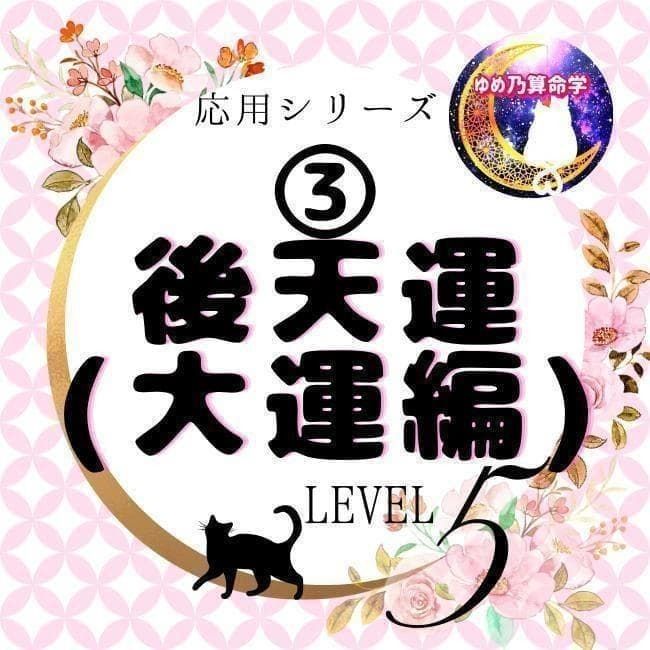 【応用】③後天運早見表(大運編)レベル5 運勢 独学 鑑定 本