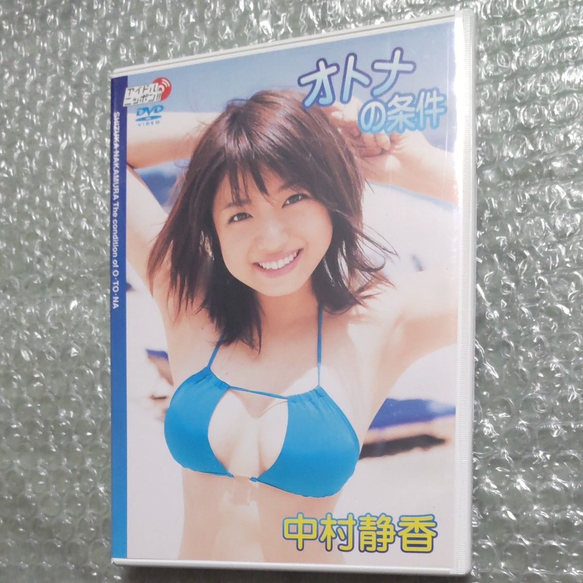 中村静香 DVD 成人的条件 形象DVD（近乎全新）