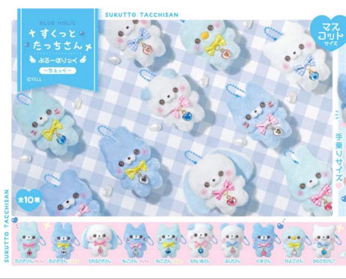 Snug Touchy-San Plush Cat Check Blue Hollyc Approximately 13cm With Ball Chain New Sealed