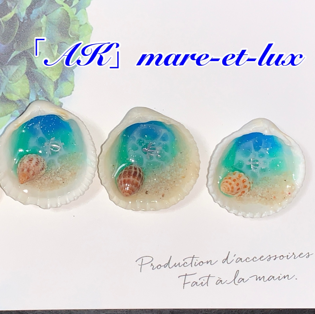 真贝壳 筷架