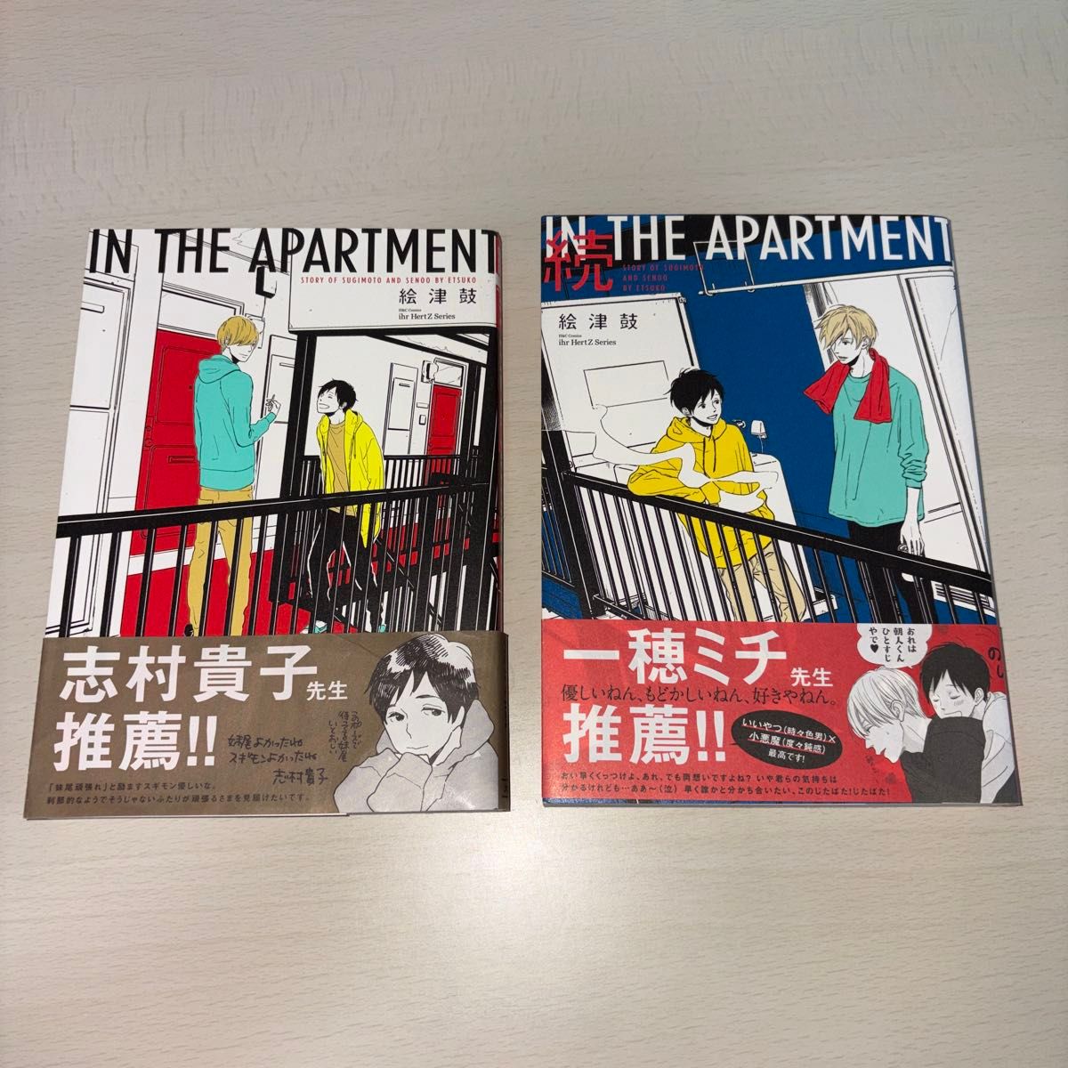 IN THE APARTMENT 続 IN THE APARTMENT 絵津鼓 2冊セット