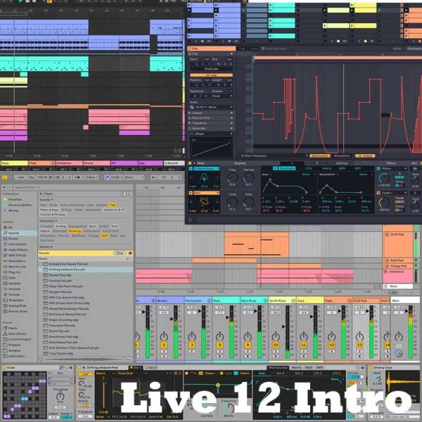 Ableton Live 12 Intro (不可货到付款) (在线交货)