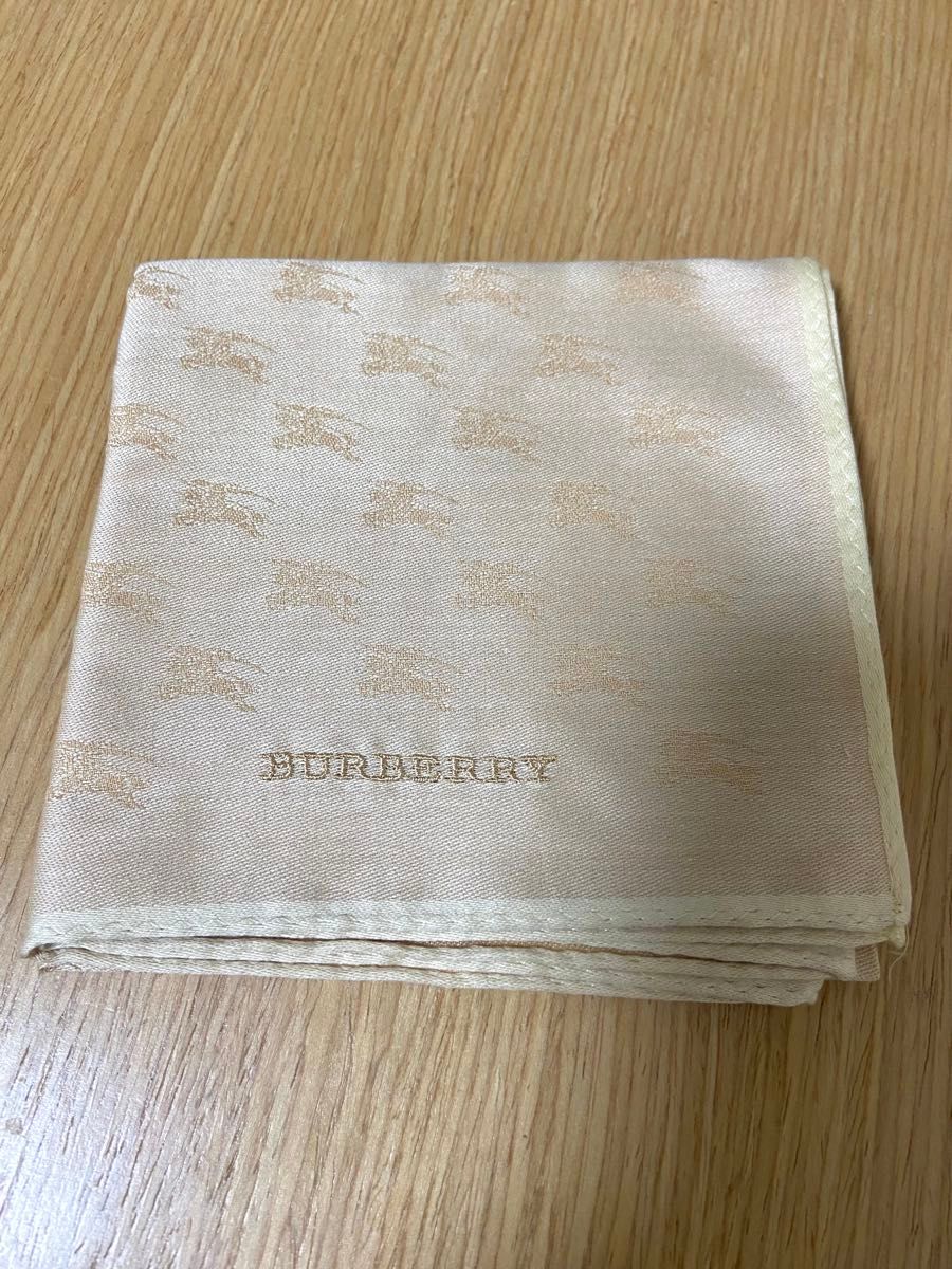 BURBERRY Burberry Exterion Knight 骑马骑士标志