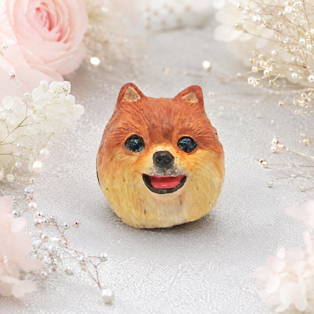 Pomeranian Ring Size 14 Dog | Twinkling Eye Animal Ring Premium
