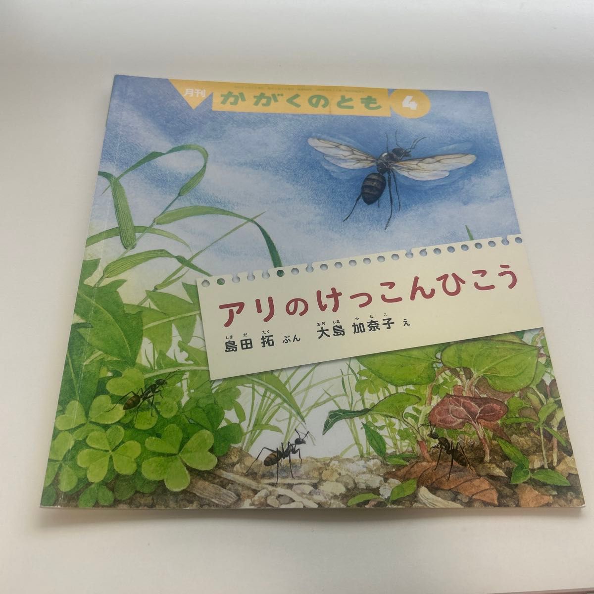 蚂蚁的婚飞 《科学之友》2023年4月号