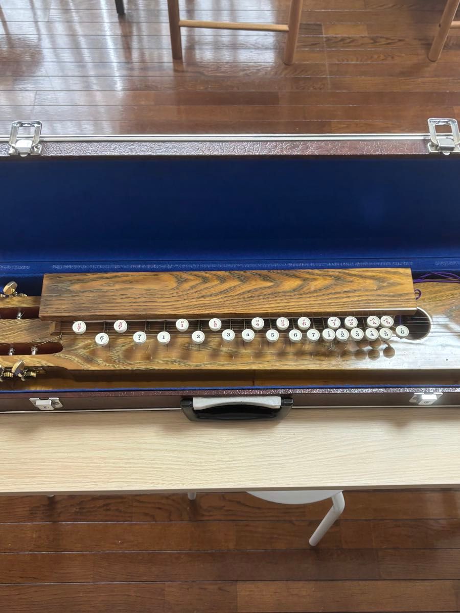 大正琴 和楽器 弦楽器 ハードケース付き レトロ【動作未確認の現状品】