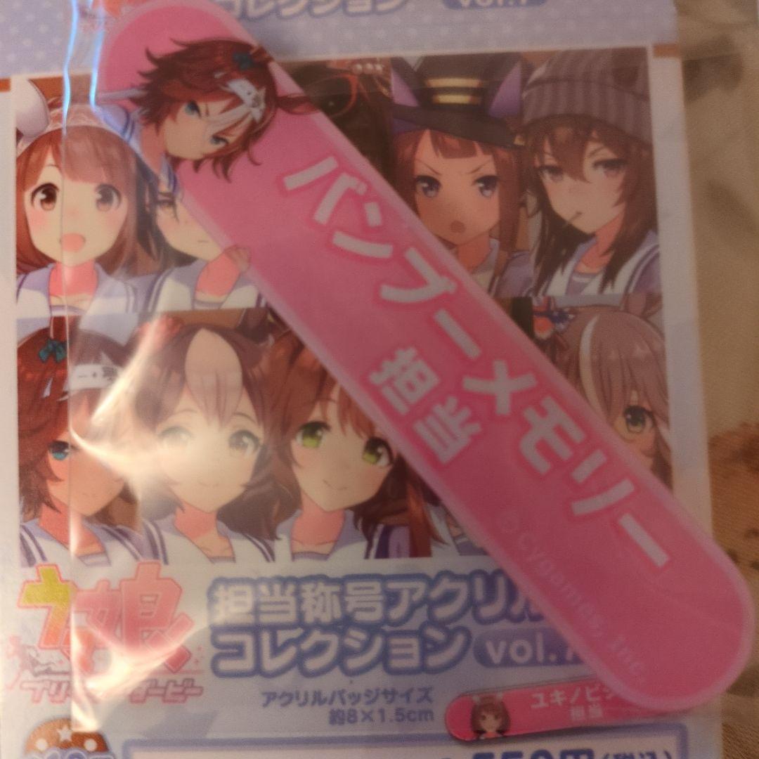 Uma Musume Bamboo Memory Support Title Acrylic Badge