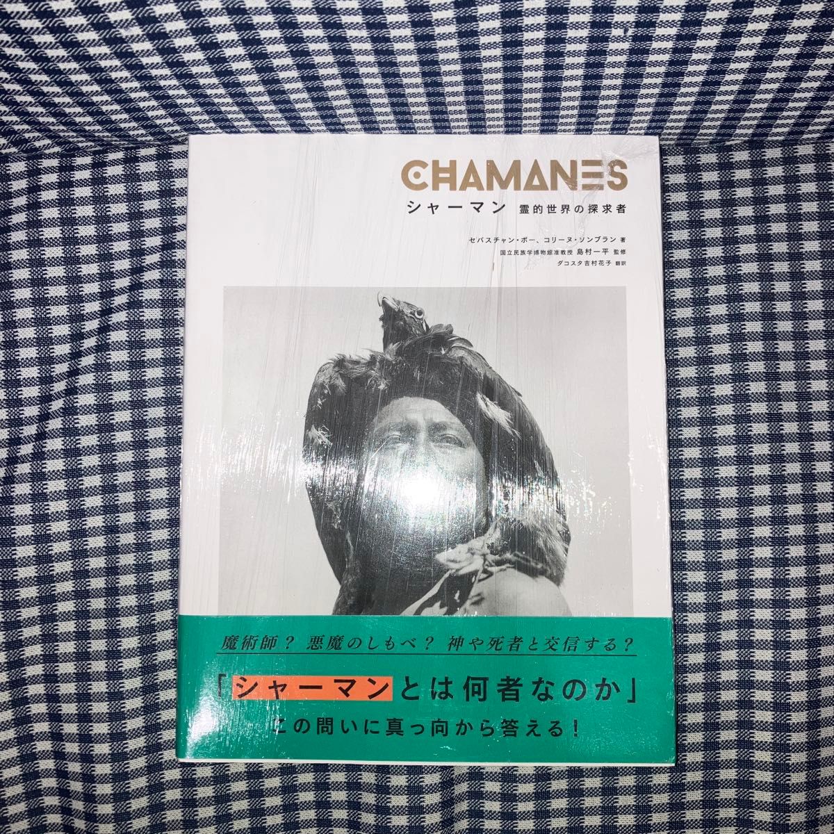 CHAMANES 灵界探索者 萨满【初版·带书腰】