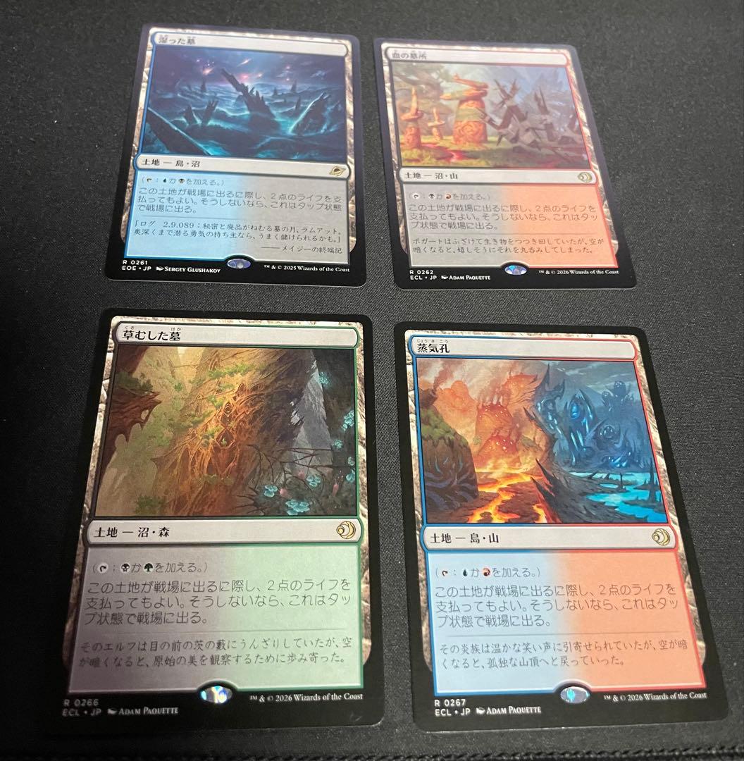 Shock Land 4种套装 潮湿墓所 苔藓墓 蒸汽孔