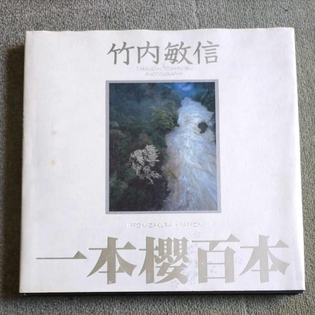 One Cherry Tree, Hundred Trees by Toshinobu Takeuchi