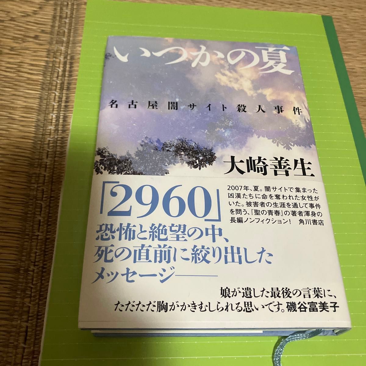 某个夏天的名古屋暗网杀人事件 / 大崎善生 著