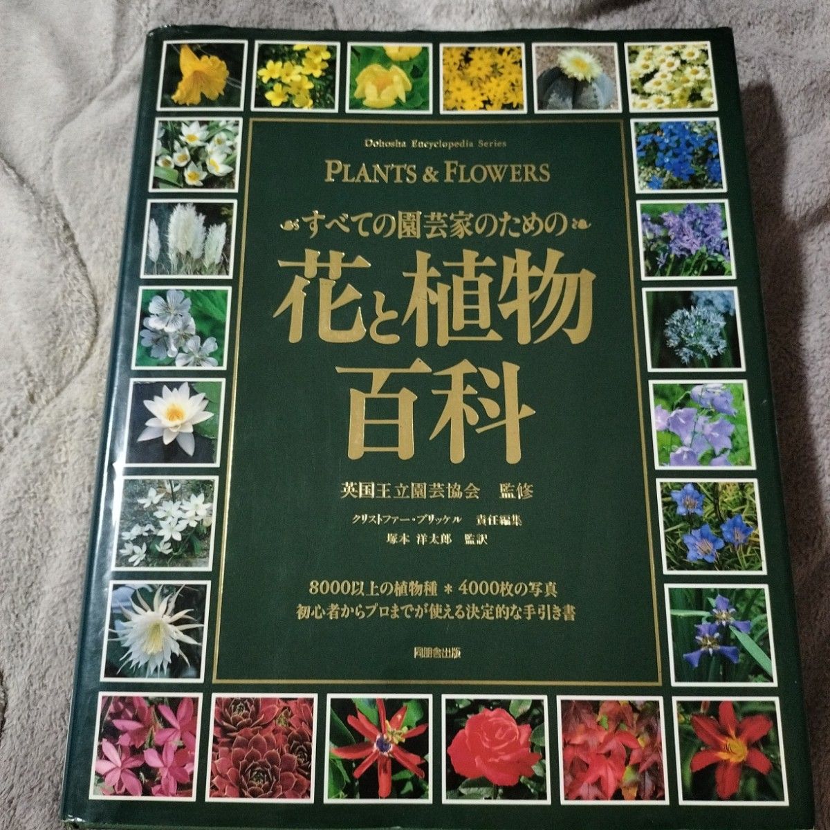 第一版所有园丁的花卉和植物百科全书