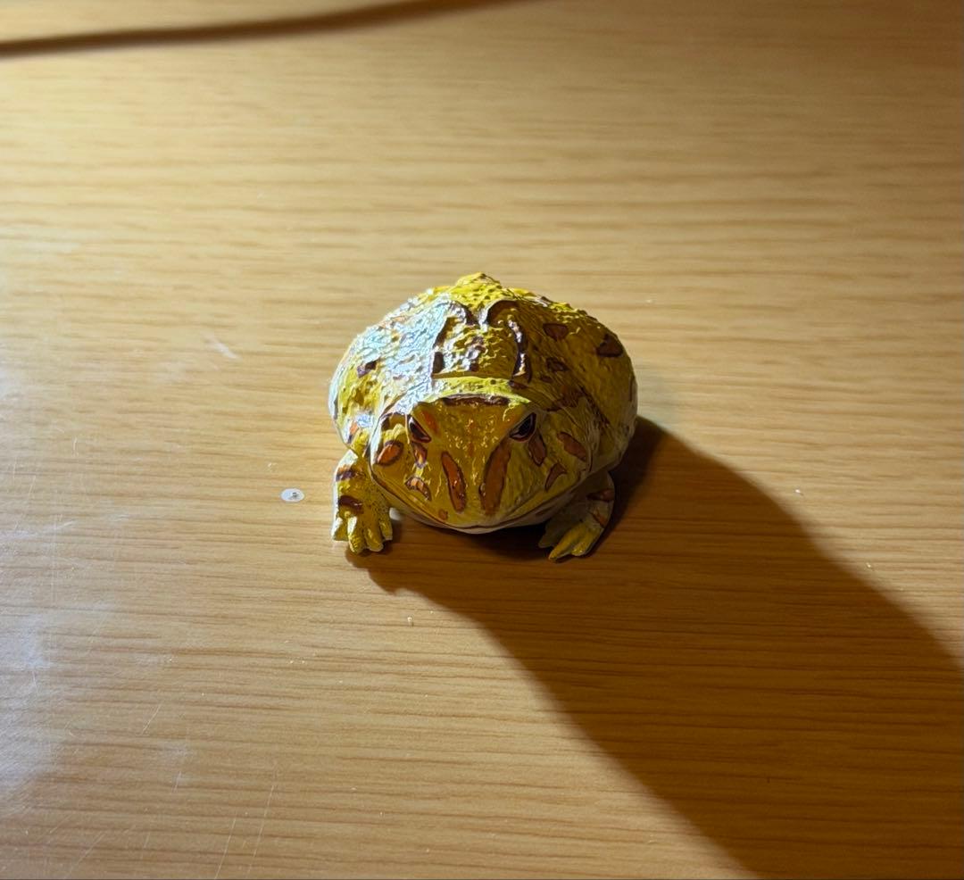 Pacman Frog Figure Miniature