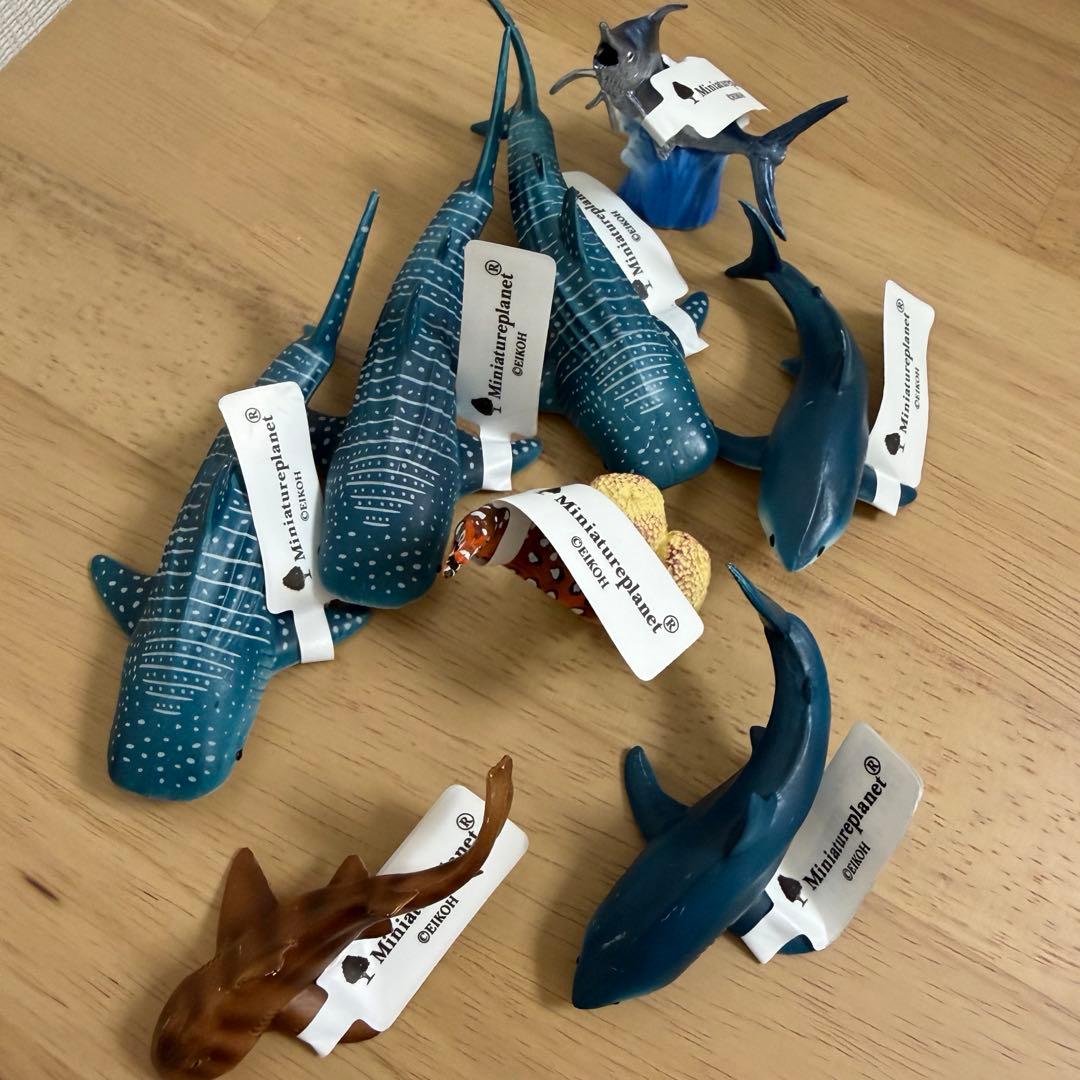 Miniature Planet Whale Shark Great White Catfish Swordfish Moray