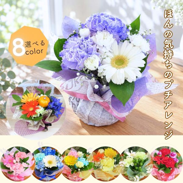 Flower Birthday Gift Small Bouquet - A Little Token of Appreciation, Present Arrangement, Seasonal Flowers, Petite Gift, Fresh Flower, Flower Arrangement, Decorative, Halloween, Autumn, Big Buy