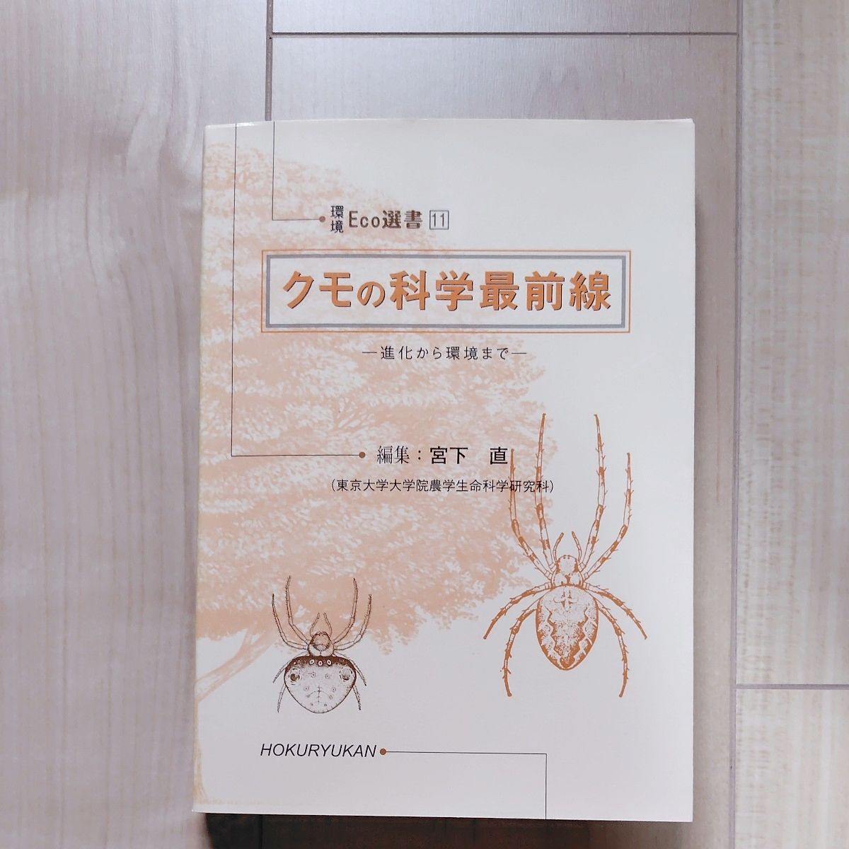 从蜘蛛的科学最前线进化到环境Eco选书11宫下直编集