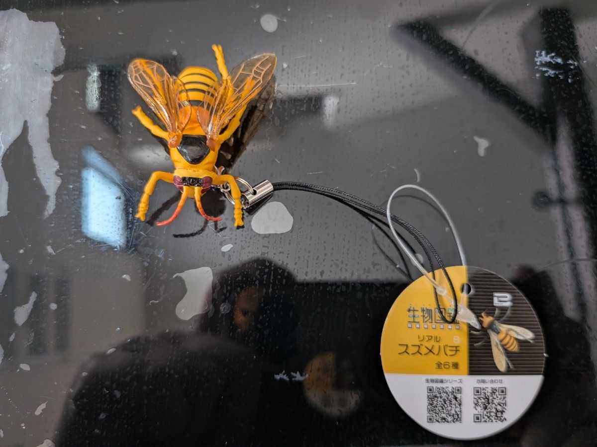生物图鉴 真实胡蜂 附带挂件的模型