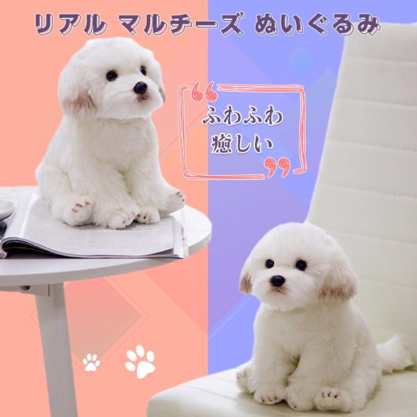 Plush Dog Maltese Toy Hug Pillow Christmas Birthday Anniversary Gift Height 26cm