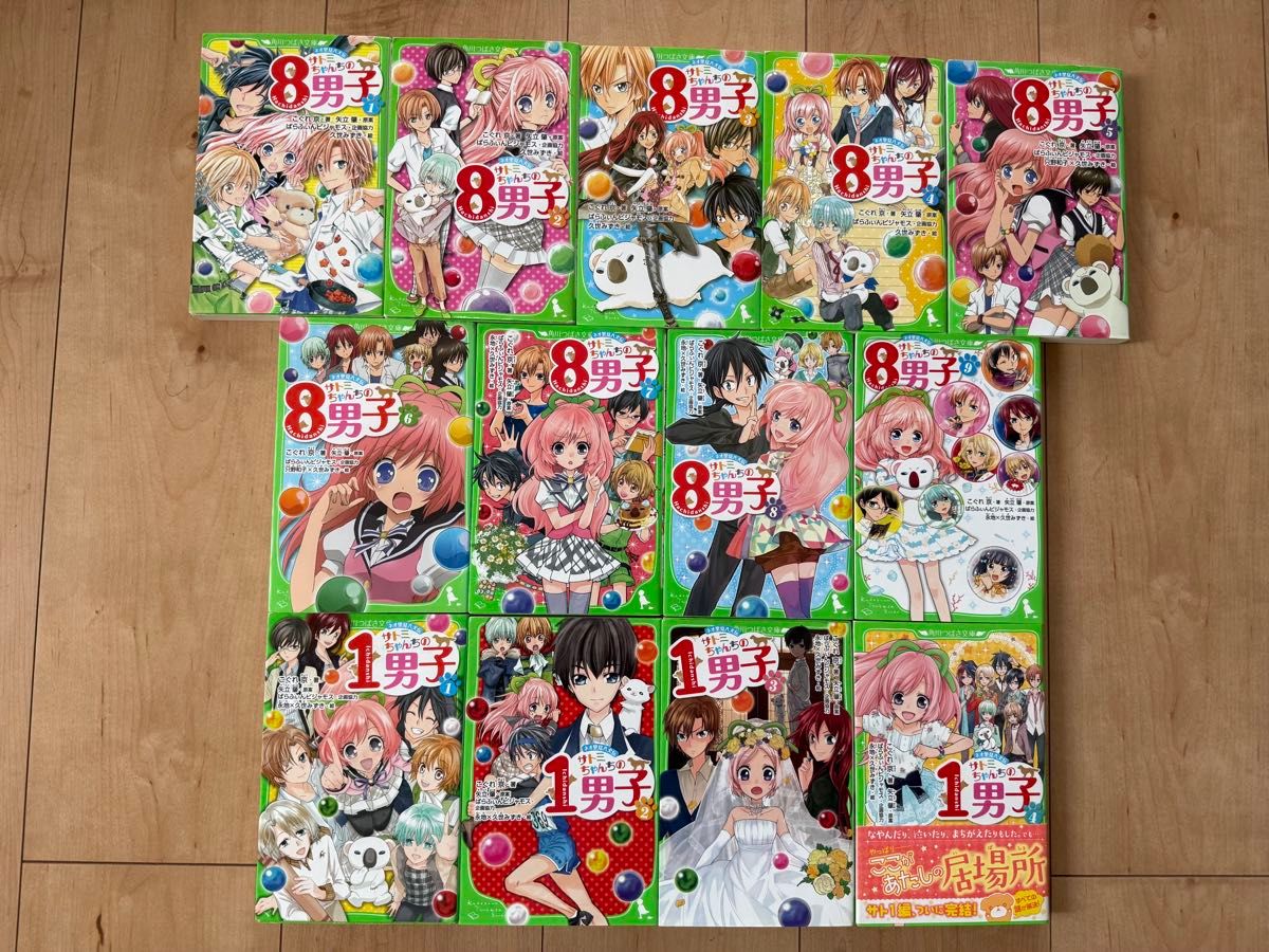 新里见八犬传 13册套装 佐美家的一男孩 全4卷 佐美家的8男孩 1-9卷 角川Tsubasa文库 系列 阅读