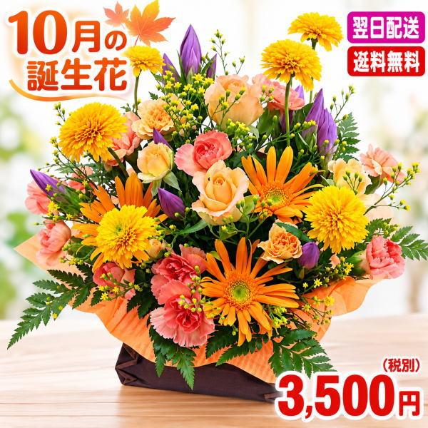 Vitamin Orange Arrangement 3,500 JPY with Free Shipping and Next-Day Delivery - October Birth Flower Gift with Gerbera Daisy Meaning