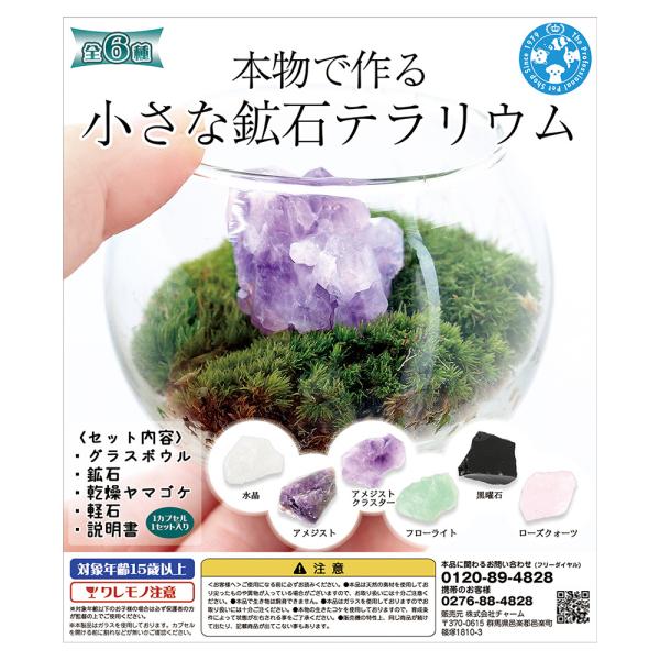 Assorted Genuine Mini Mineral Terrarium Capsule Toy