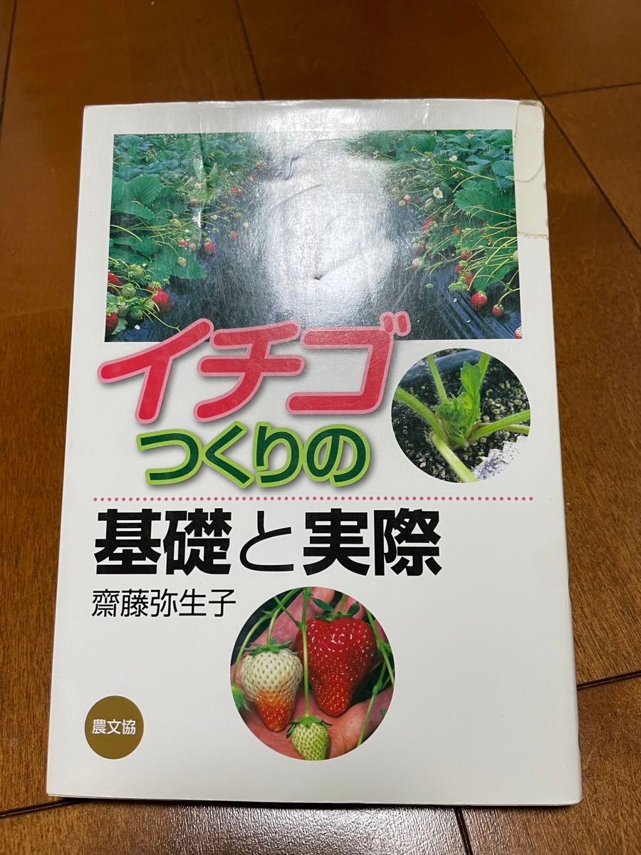 草莓制作的基础和实际斋藤弥生子农文协