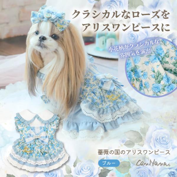 Dog Clothes One-Piece Dress Alice in Wonderland Kyannana Brand Cosplay Small Dog Photo Shoot Ruffles 1187 Blue