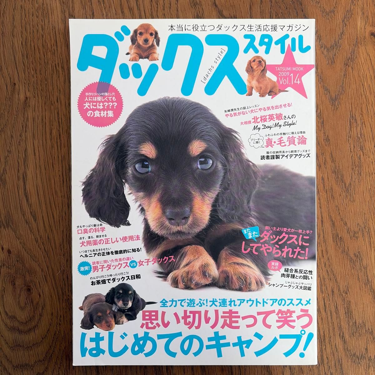 ダックススタイル Vol.14 2009年 ダックスフンド専門誌