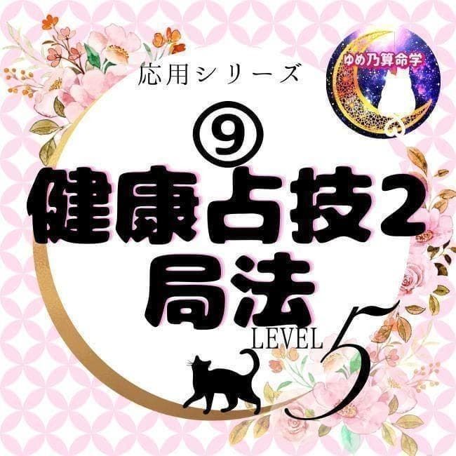 【応用】⑨健康占技2・局法 レベル5 独学 テキスト 鑑定 本