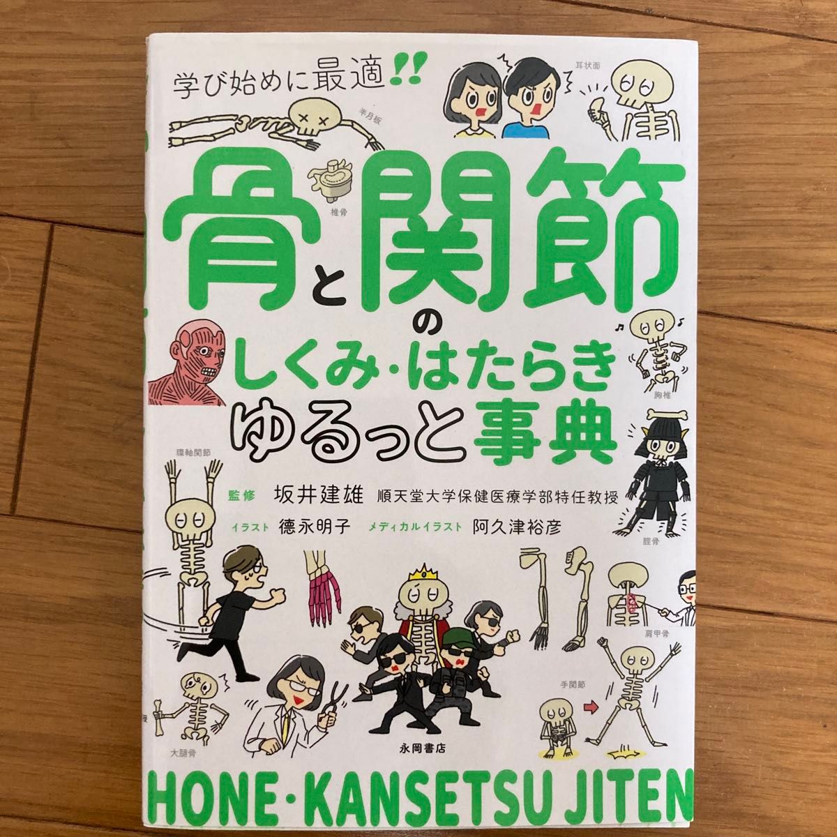 骨骼与关节的结构与功能轻松辞典　最适合初学者！！ 坂井建雄／监修　德永明子／插图　阿久津裕彦／医学插画