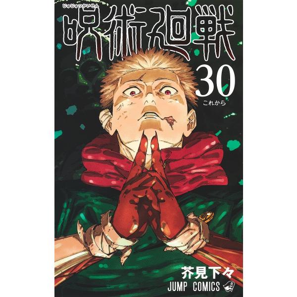 咒术回战30/芥见下々
