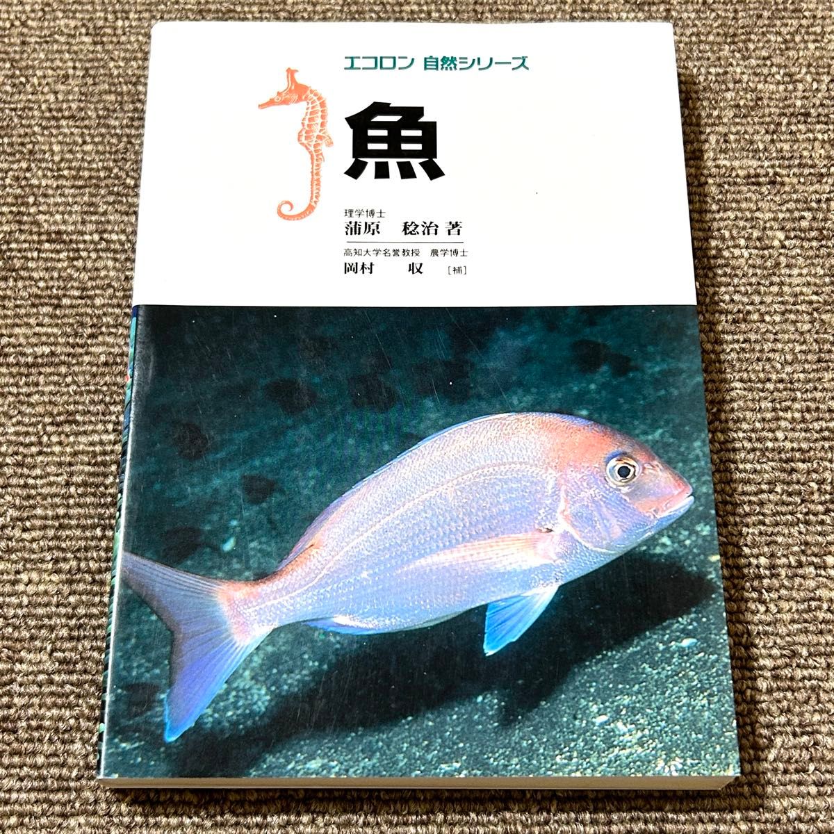 鱼生态龙自然系列蒲原稔治着冈村收补
