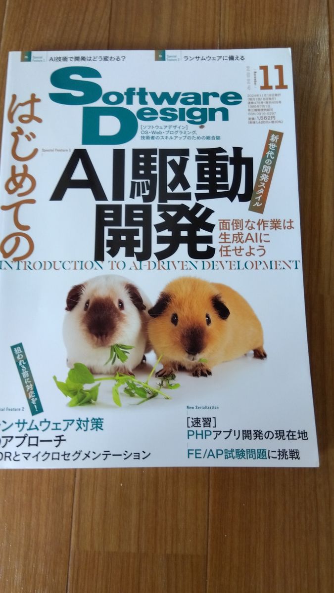 软件设计2024年11月号 (技术评论社)