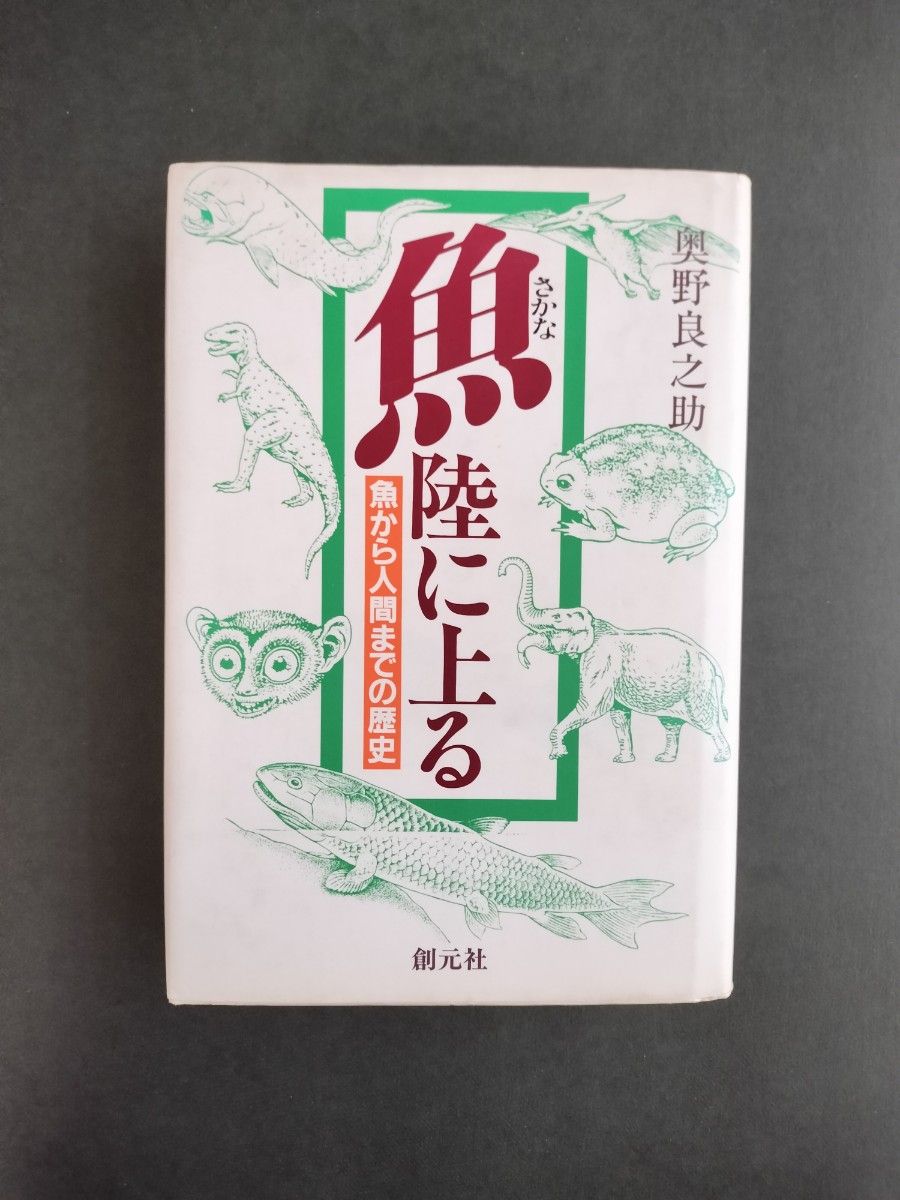 从陆地上的鱼到人类的历史