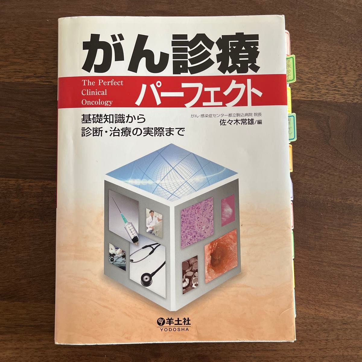 癌症诊疗完美指南：从基础知识到诊断与治疗的实践 佐々木常雄 羊土社