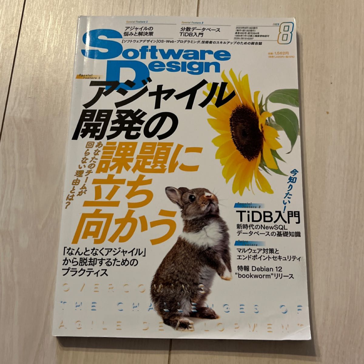 软件设计2023年8月号 (技术评论社)
