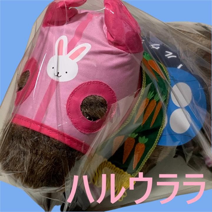 哈鲁拉拉 赛马 毛绒玩具 偶像马 AVANTI 赛马娘 S尺寸I