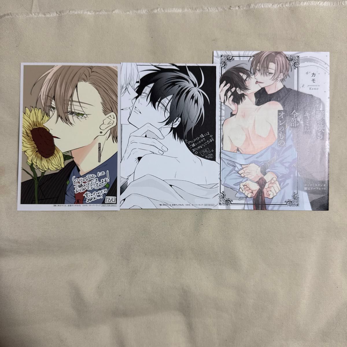 映在眼睛里的你,全部都是我的漫画和你的动画特典