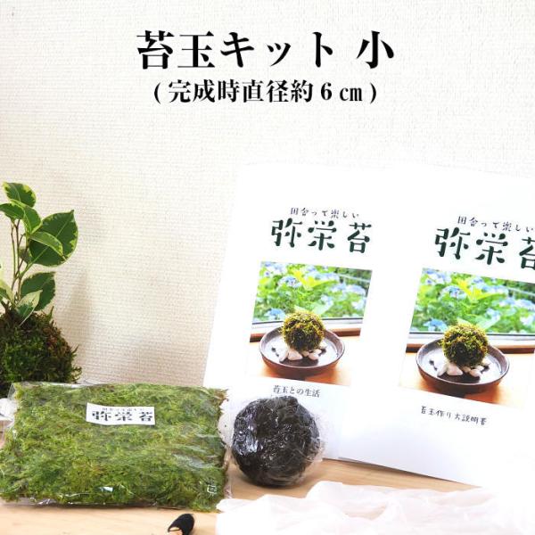 苔玉制作方法 苔玉套装 小号 手工制作套件 初学者入门套装 苔玉 材料 附说明书